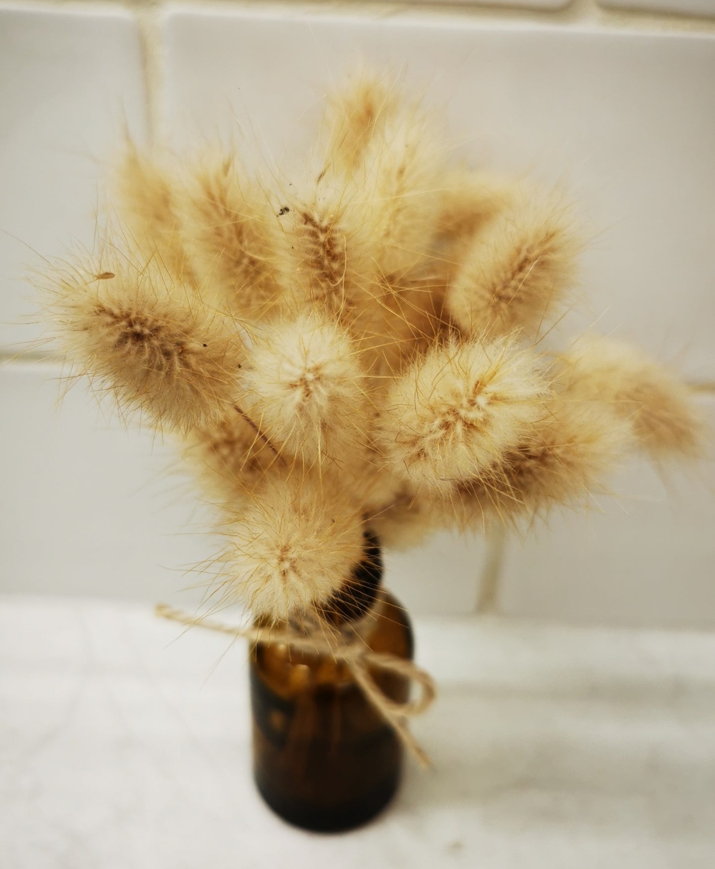 Mini homegrown bunny tails bottle PICKUP ONLY