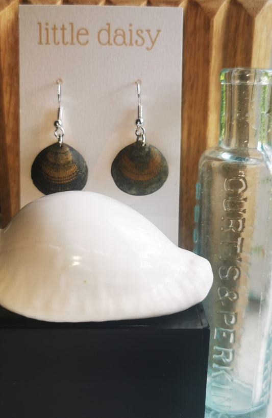 Brown Shell Dangle Earrings