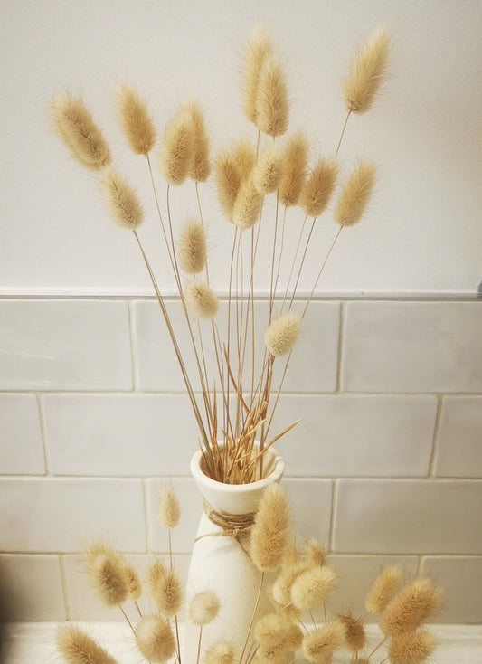 Dried Bunny Tails - Set of 3 vases PICKUP ONLY