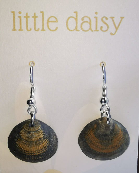 Brown Shell Dangle Earrings