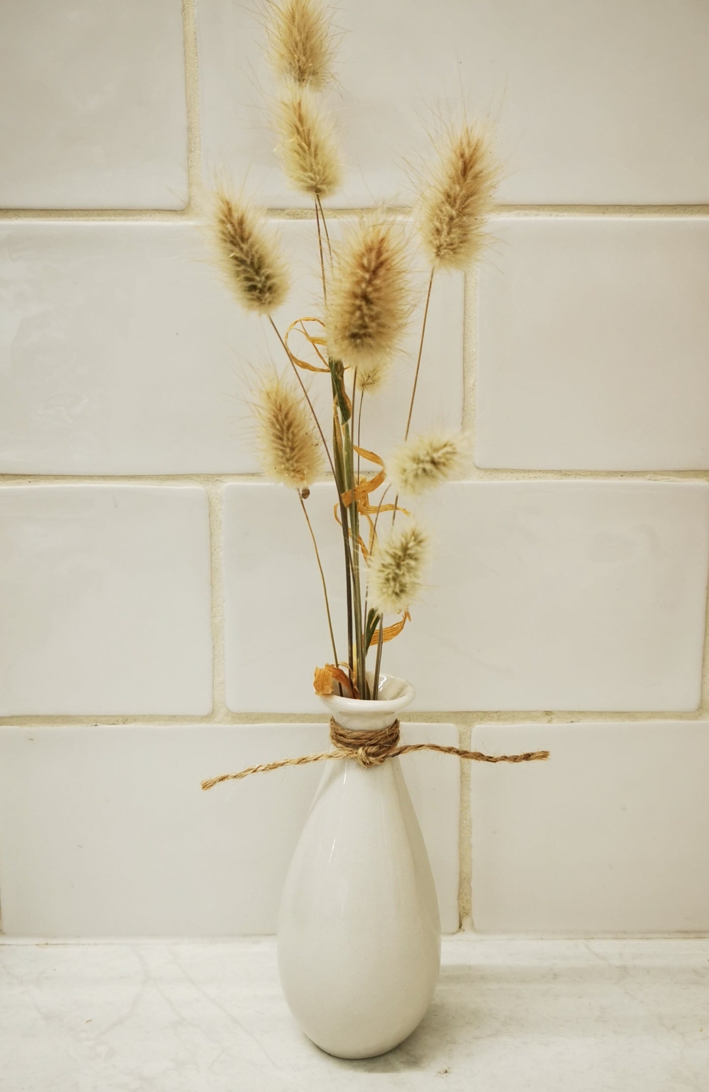 Homegrown bunny tails in white vase PICKUP ONLY